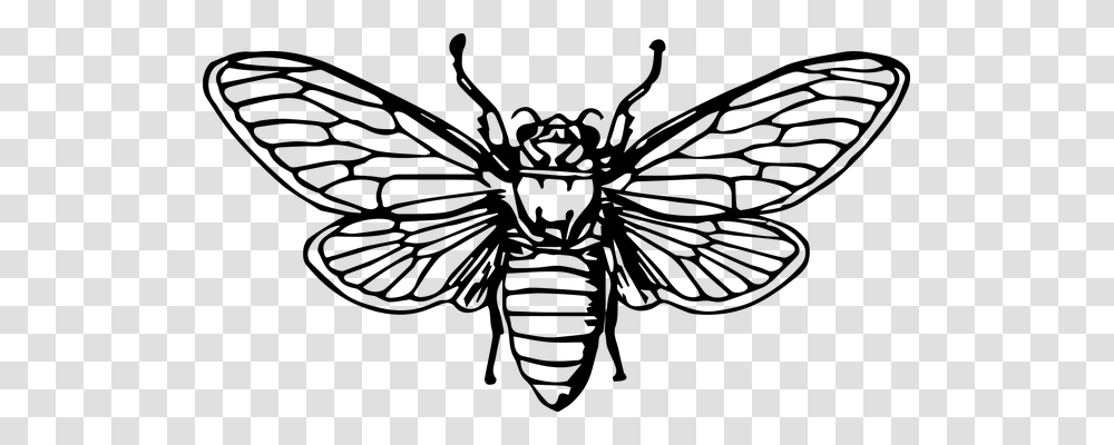 Bee Animals, Gray, World Of Warcraft Transparent Png