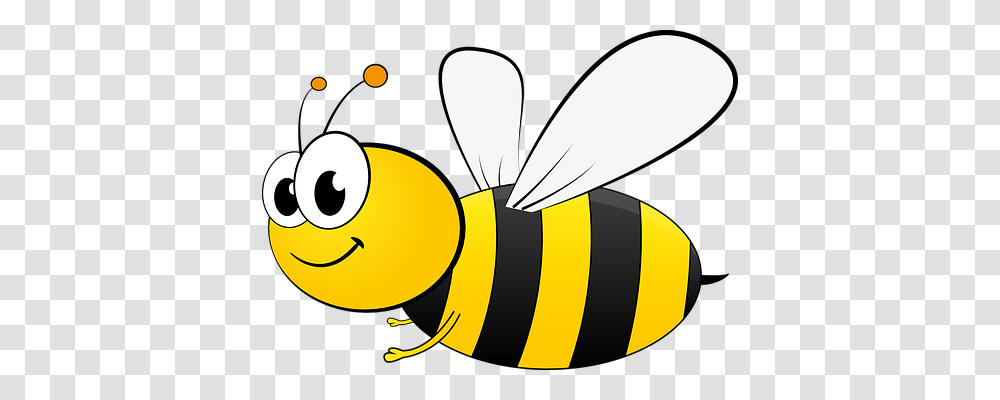 Bee Animals, Honey Bee, Insect, Invertebrate Transparent Png