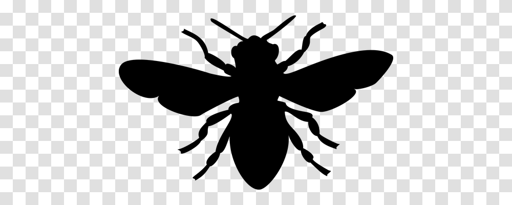 Bee Animals, Gray, World Of Warcraft Transparent Png