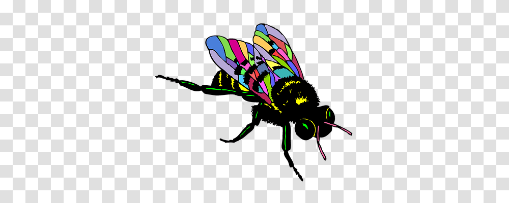 Bee Animals, Invertebrate, Insect Transparent Png
