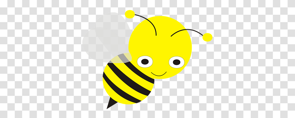 Bee Animals, Invertebrate, Insect Transparent Png