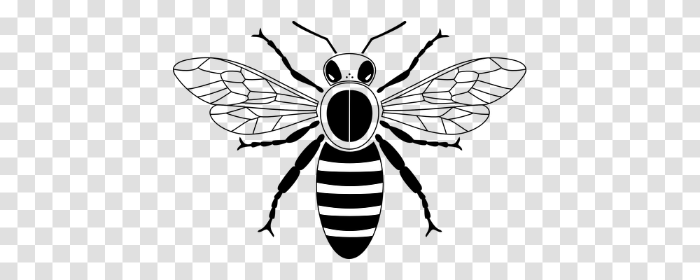 Bee Animals, Lamp, Wasp, Insect Transparent Png
