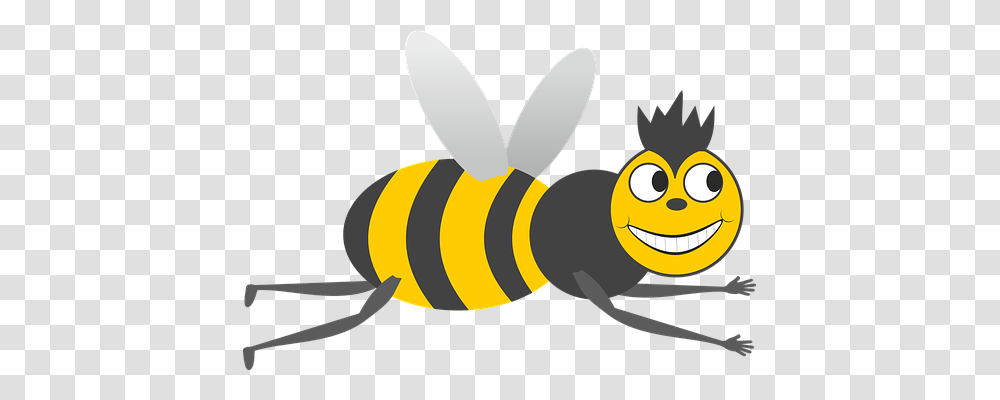 Bee Animals, Insect, Invertebrate, Honey Bee Transparent Png