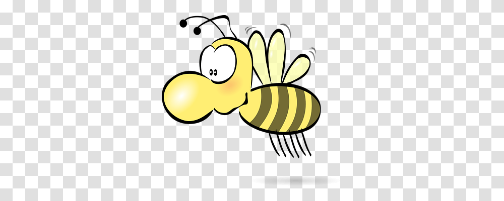 Bee Animals, Invertebrate, Insect, Honey Bee Transparent Png