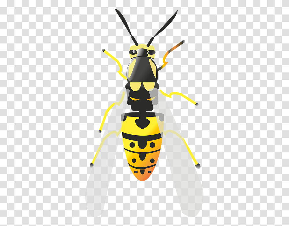 Bee 960, Insect, Wasp, Invertebrate, Animal Transparent Png