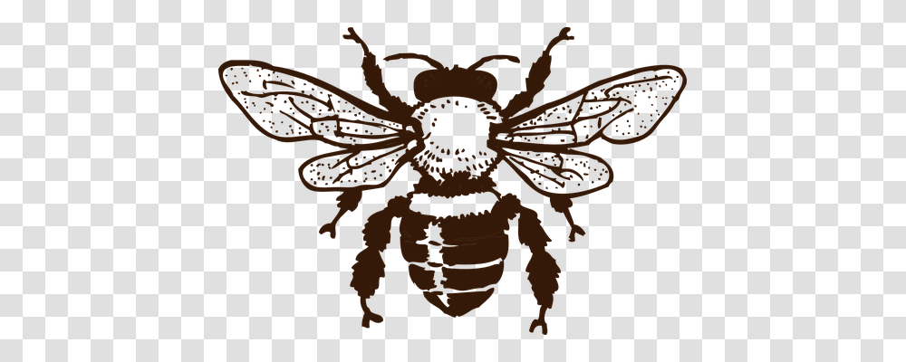 Bee Animals, Pattern, Plant Transparent Png
