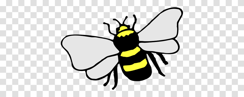 Bee Animals, Wasp, Insect, Invertebrate Transparent Png