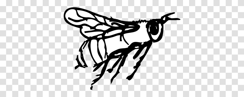 Bee Animals, Wasp, Insect, Invertebrate Transparent Png