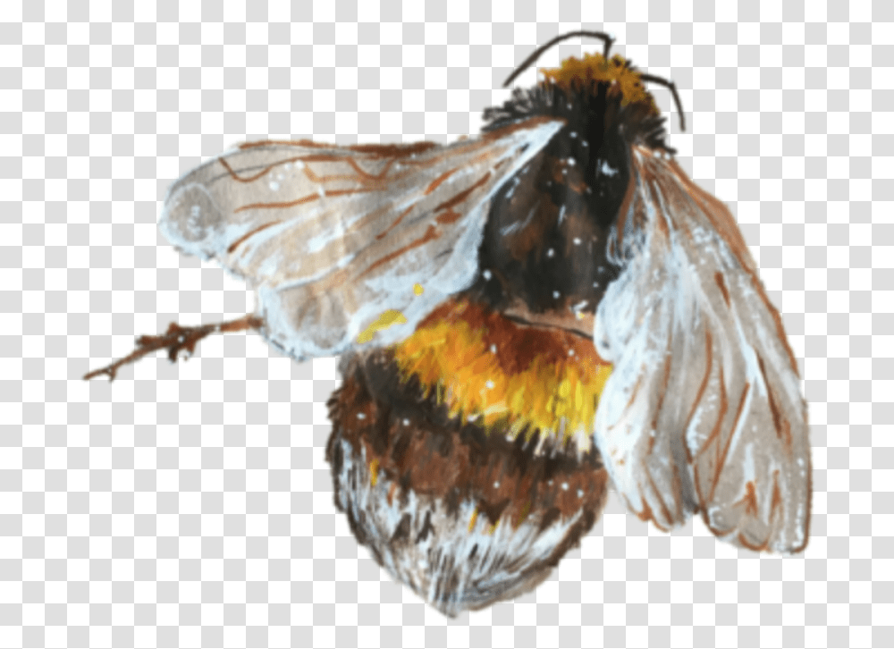 Bee Abeja Art Tumblr Tumblraesthetic Aesthetic Tumblr Bee, Fungus, Accessories, Sea Life, Animal Transparent Png