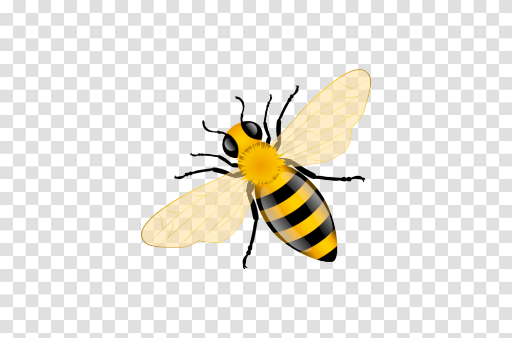 Bee Bee Art Bee Crafts, Honey Bee, Insect, Invertebrate, Animal Transparent Png