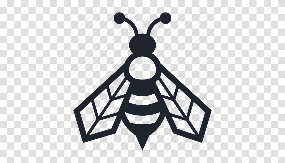 Bee Beekeeper Beekeeping Farming Insects Mother Queen Icon, Triangle, Bracket, Guitar, Leisure Activities Transparent Png