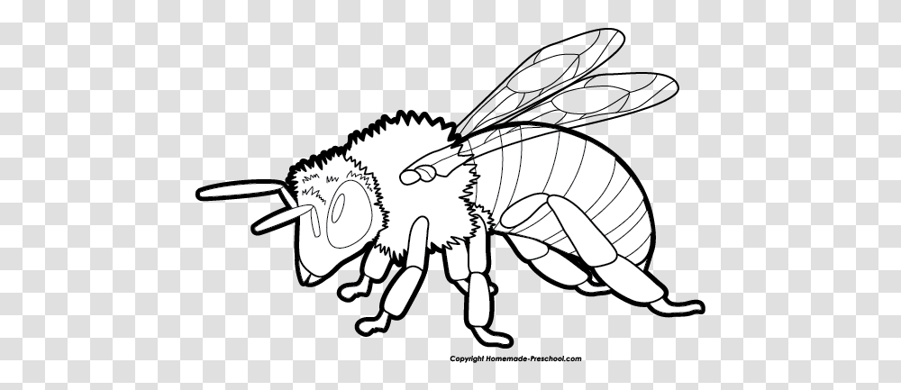 Bee Black And White Bee Clipart Black And White, Insect, Invertebrate, Animal, Honey Bee Transparent Png