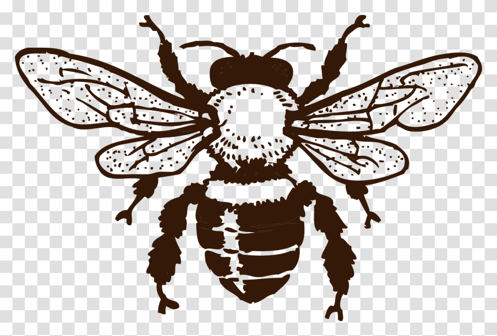 Bee Black And White, Emblem, Dragon Transparent Png