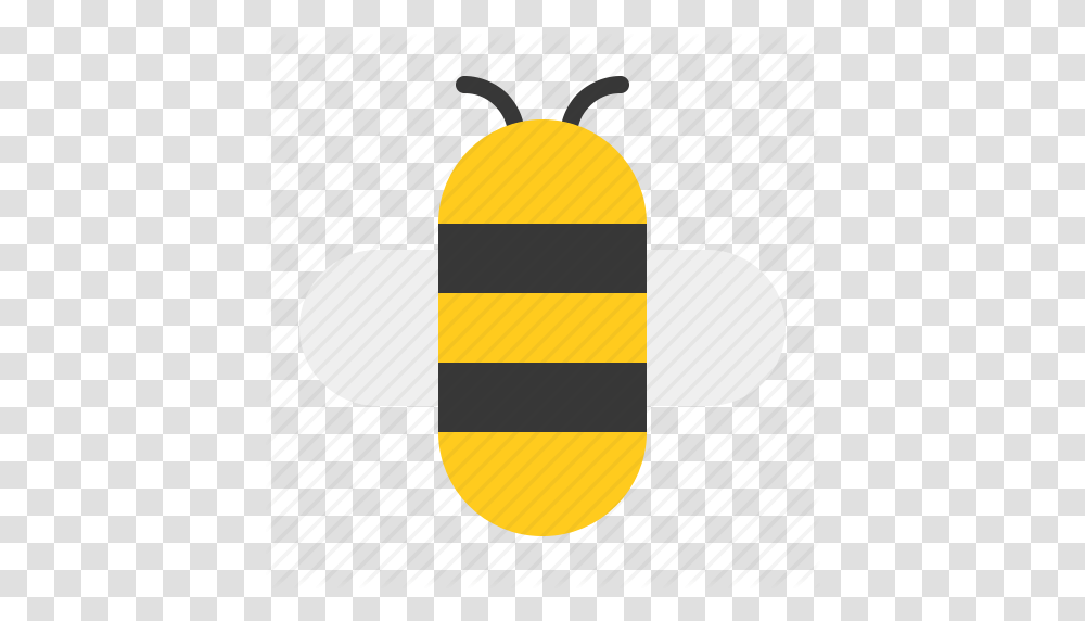 Bee Bumble Bee Honey Insect Icon, Capsule, Pill, Medication Transparent Png