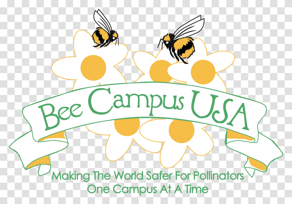 Bee Campus Usa, Honey Bee, Insect, Invertebrate, Animal Transparent Png
