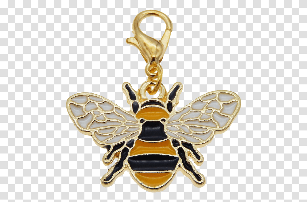 Bee Charm Gold Clasp Beehive Shoppe, Pendant, Animal Transparent Png