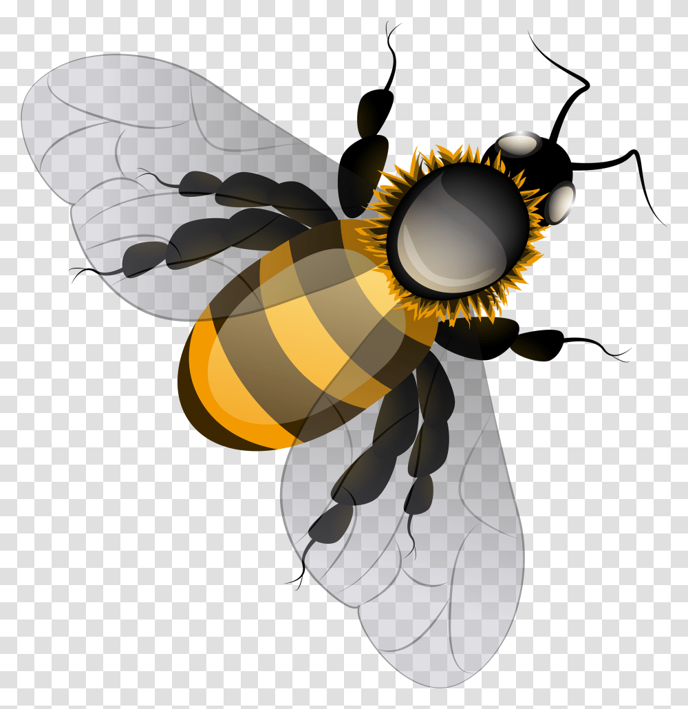 Bee Clip Art Background Bee, Honey Bee, Insect, Invertebrate, Animal Transparent Png