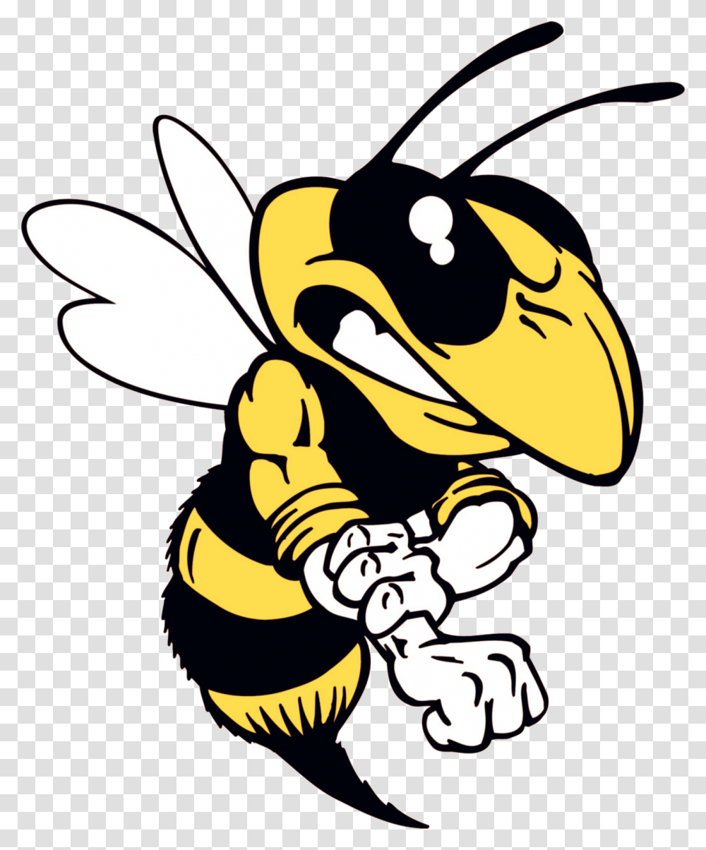 Bee Clip Art County Daily Times Blogs Phollowing, Wasp, Insect, Invertebrate, Animal Transparent Png