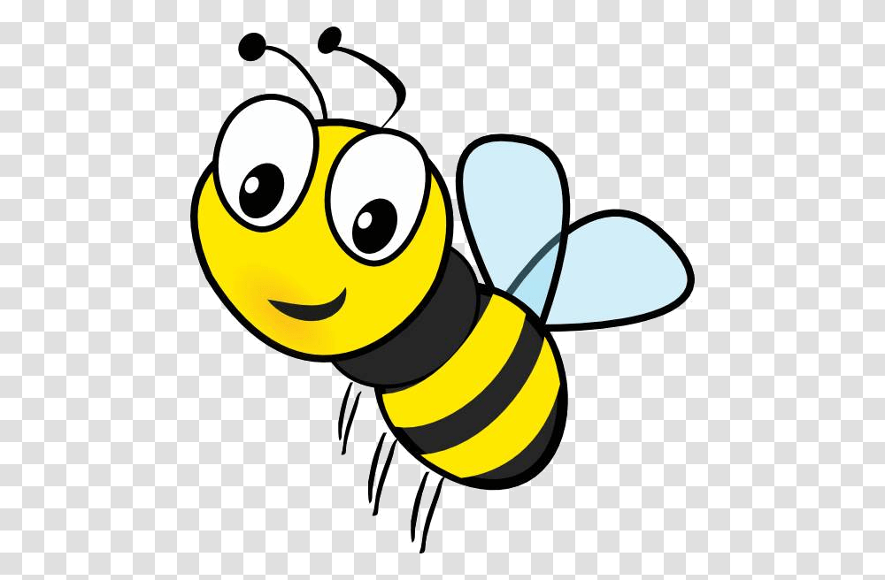 Bee Clip Art For Teachers Free Clipart Images Bee Clipart, Honey Bee, Insect, Invertebrate, Animal Transparent Png