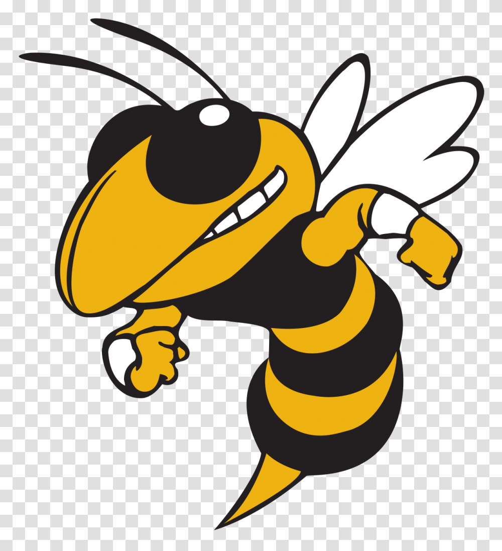 Bee Clip Art Images Black And White, Insect, Invertebrate, Animal, Wasp Transparent Png