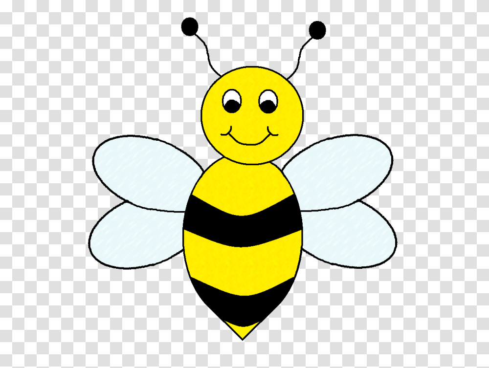 Bee Clip Art Look, Animal, Insect, Invertebrate, Honey Bee Transparent Png