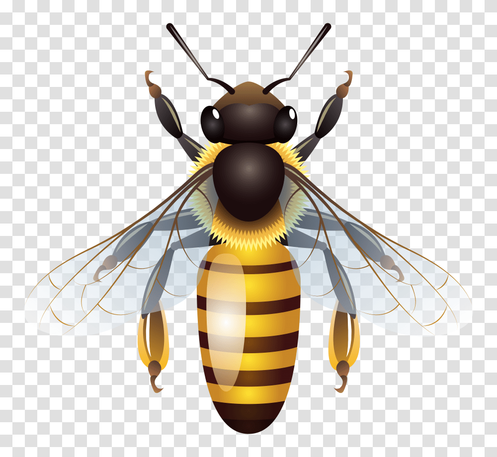 Bee Clip Art Transparent Png