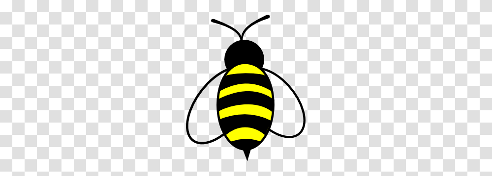 Bee Clip Art, Wasp, Insect, Invertebrate, Animal Transparent Png