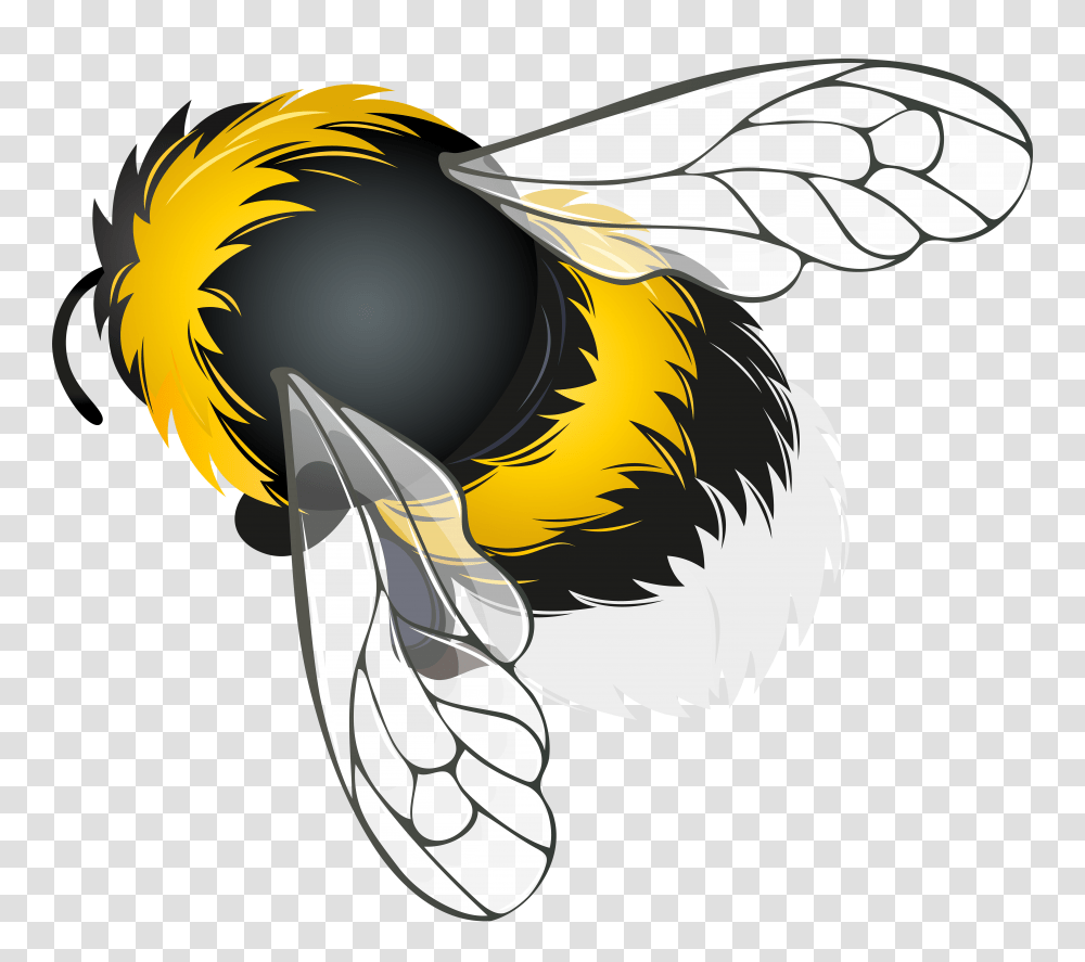 Bee Clipart For Free Download On Mbtskoudsalg In Bee, Wasp, Insect, Invertebrate, Animal Transparent Png