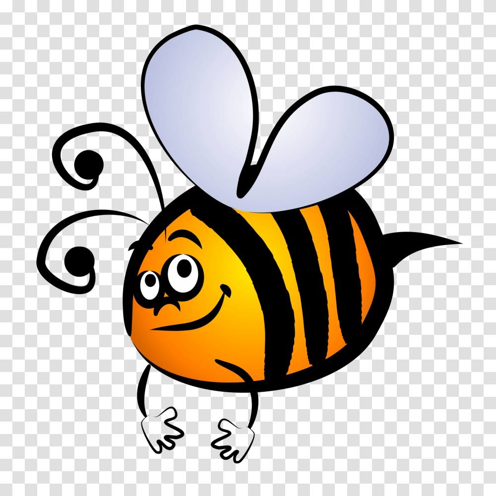 Bee Clipart Images, Animal, Wasp, Insect, Invertebrate Transparent Png