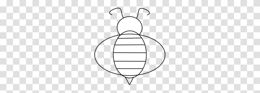 Bee Clipart Template, Egg, Food, Lamp Transparent Png