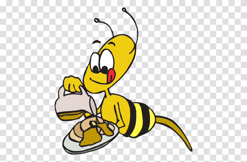 Bee Eating Honey Cartoon, Honey Bee, Insect, Invertebrate, Animal Transparent Png