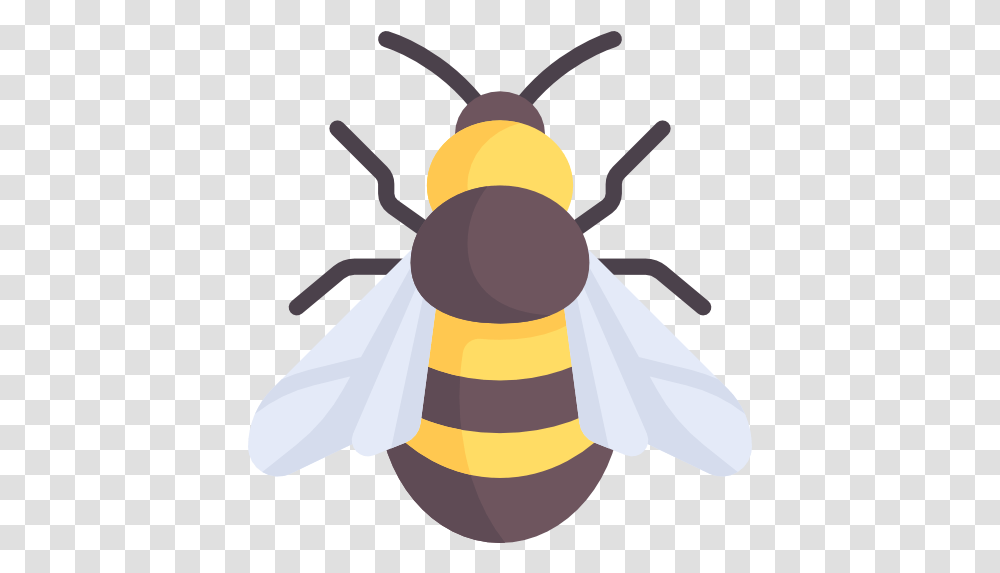 Bee Free Animals Icons Bee Flat Icon, Insect, Invertebrate, Honey Bee, Wasp Transparent Png