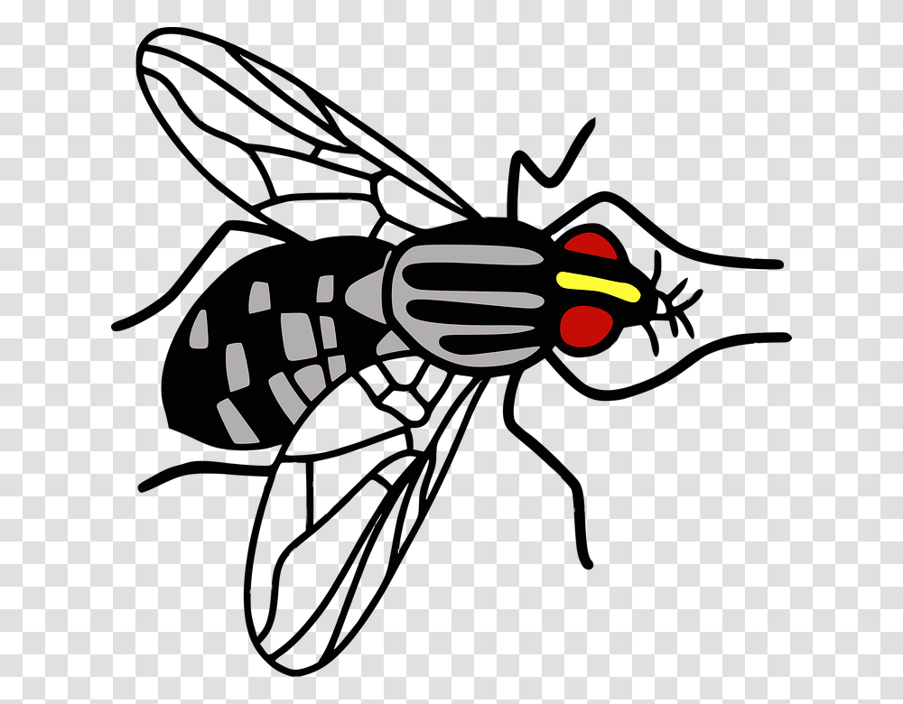 Bee, Hand, Bicycle, Vehicle, Transportation Transparent Png