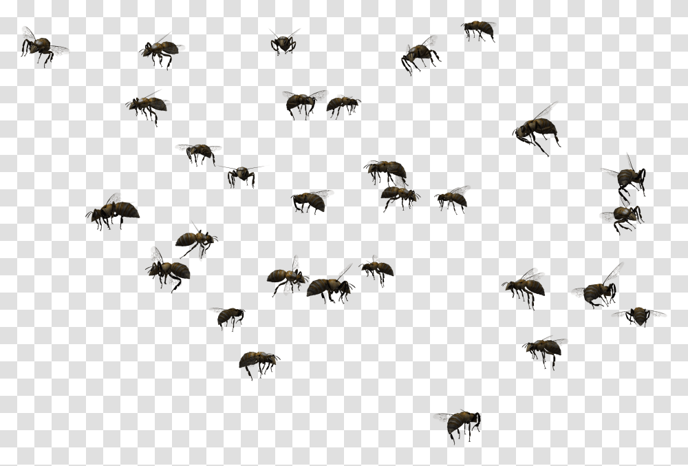 Bee Hive Clip Art Swarm Of Bees, Nature, Outdoors, Animal, Honey Bee Transparent Png