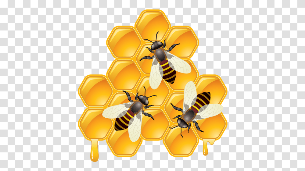Bee Honey Bee Clipart, Insect, Invertebrate, Animal, Food Transparent Png