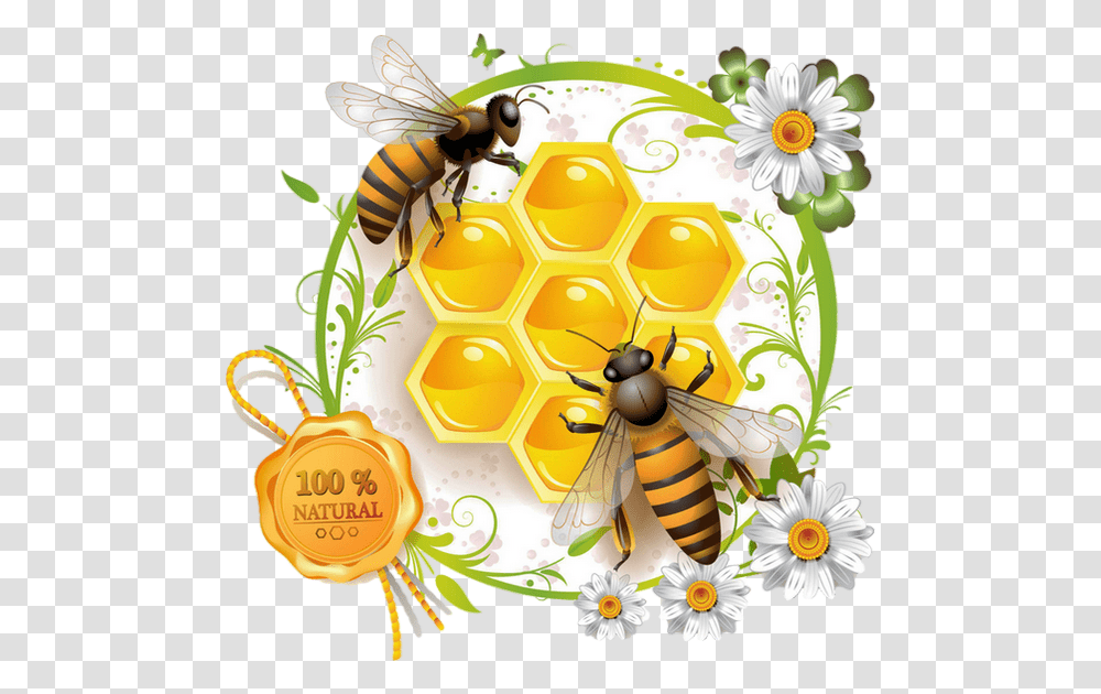 Bee Honey Bee Vector, Wasp, Insect, Invertebrate, Animal Transparent Png