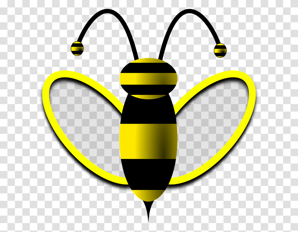 Bee Honey Bee Wasp Honey Nature Fauna Summer Background Scope Svg, Pottery, Tin, Can, Teapot Transparent Png