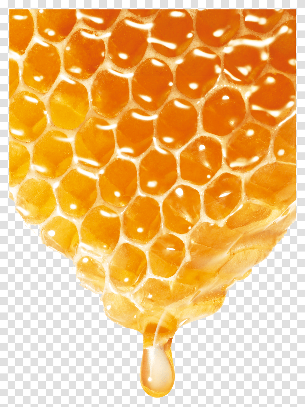 Bee Honey Transparent Png