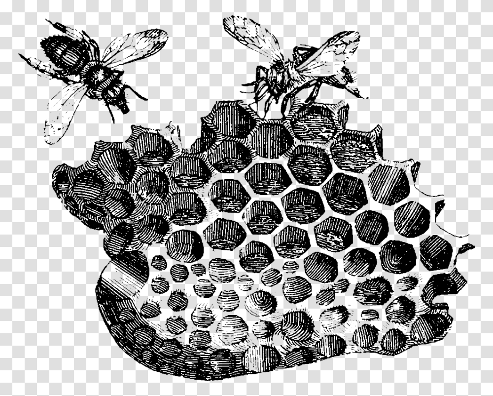 Bee Honeycomb Drawing Honeycomb With Bees Drawing, Tree, Plant, Outdoors, Nature Transparent Png