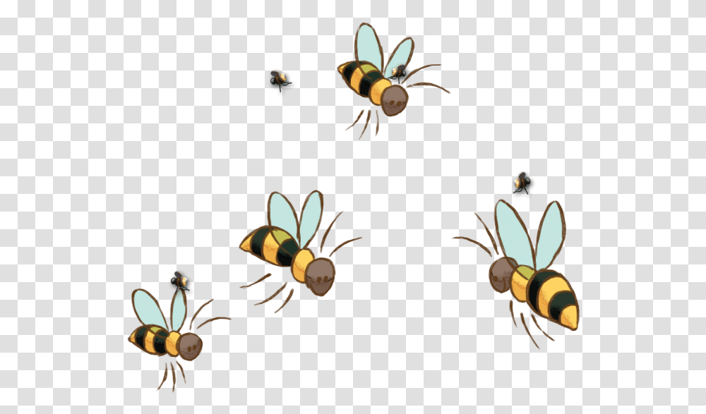 Bee Image Honey Bee Flying Cartoon, Wasp, Insect, Invertebrate, Animal Transparent Png