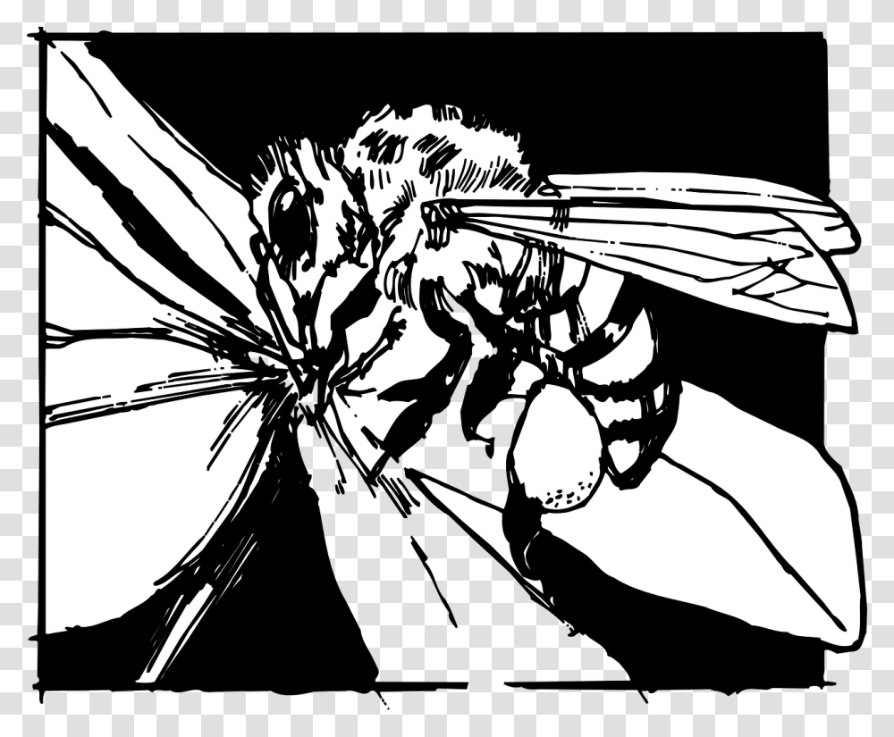 Bee In A Flower Clipart Black And White, Wasp, Insect, Invertebrate, Animal Transparent Png