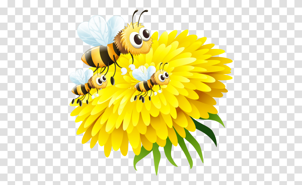 Bee In Flower Honey And Psd 5word Spelling Test, Honey Bee, Insect, Invertebrate, Animal Transparent Png