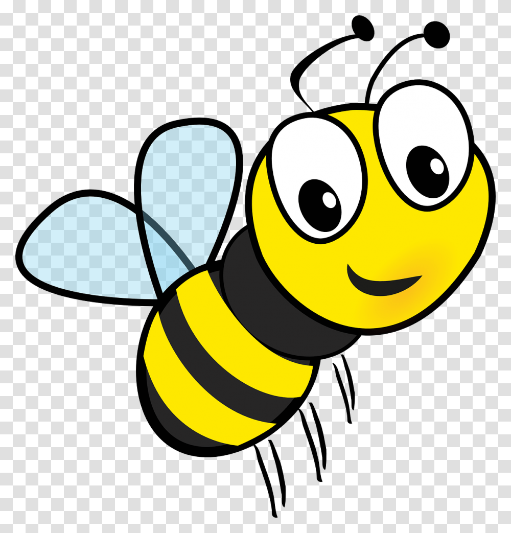 Bee, Insect, Animal, Invertebrate, Honey Bee Transparent Png