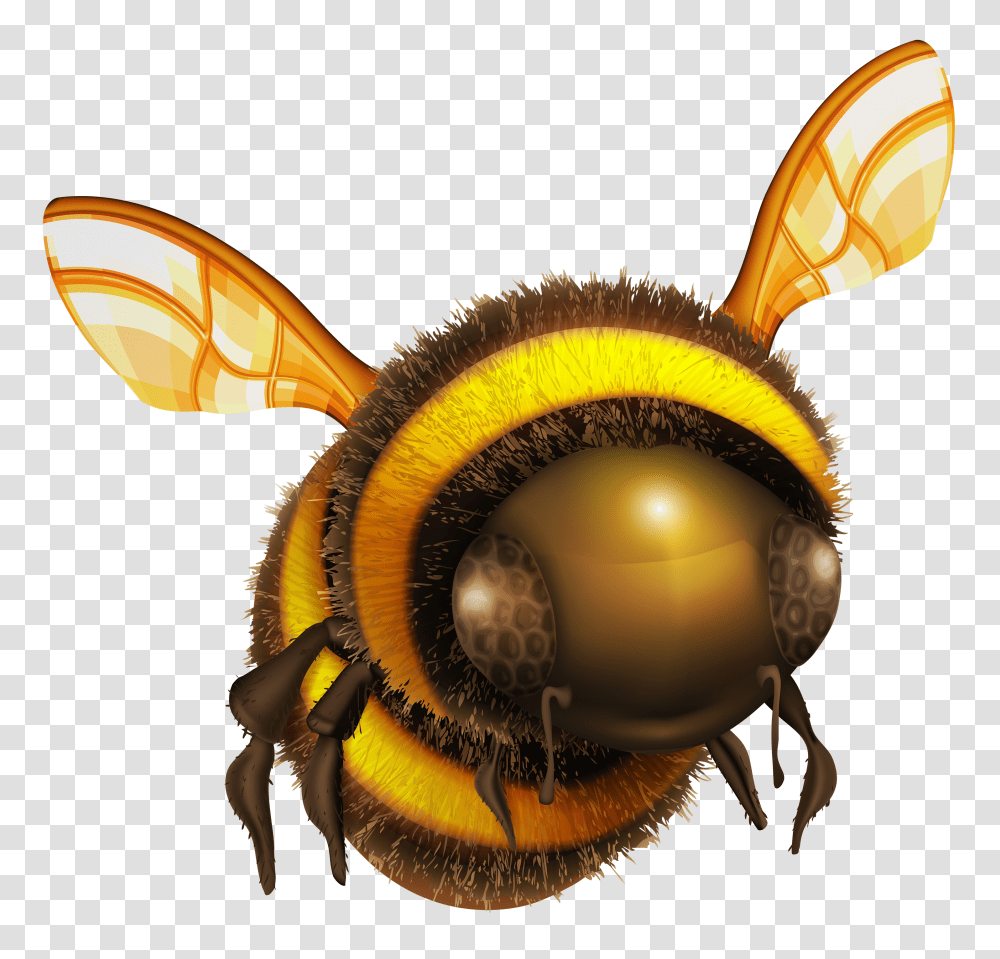 Bee, Insect, Apidae, Invertebrate, Animal Transparent Png