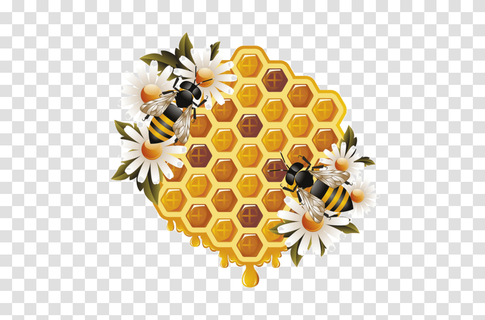 Bee, Insect, Food, Honey, Honeycomb Transparent Png