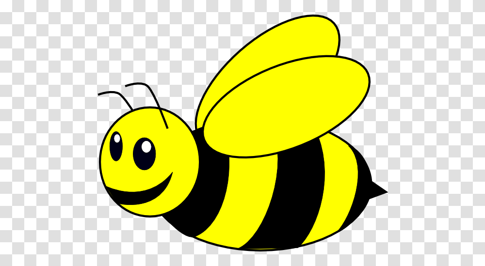 Bee, Insect, Spiral Transparent Png