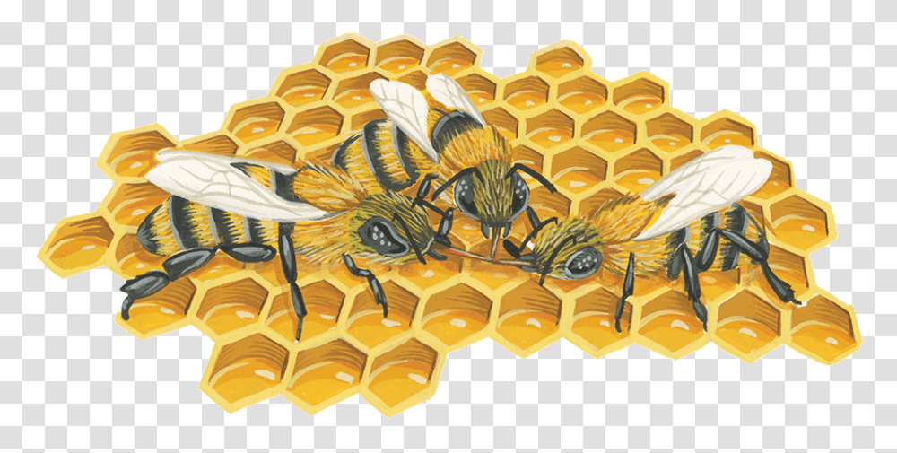 Bee, Insect, Honeycomb, Food Transparent Png