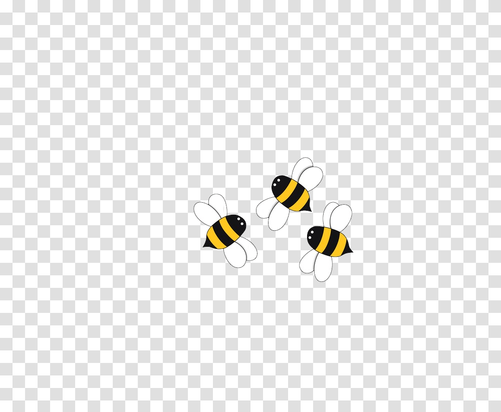 Bee, Insect, Invertebrate, Animal Transparent Png