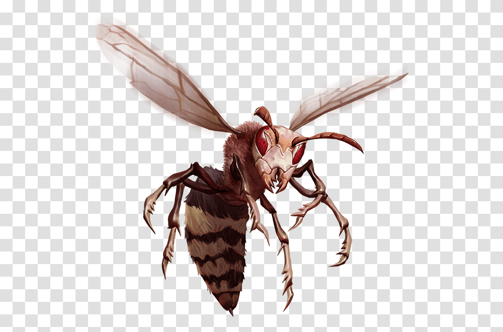 Bee, Insect, Invertebrate, Animal, Wasp Transparent Png