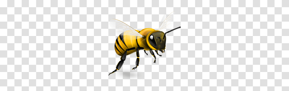 Bee, Insect, Toy, Honey Bee, Invertebrate Transparent Png